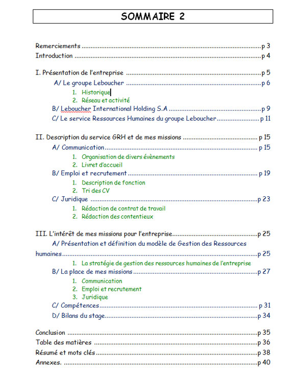 Rapport De Stage Sommaire