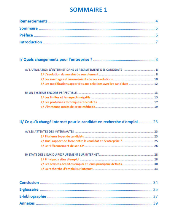 Exemple De Plan De Rapport De Stage